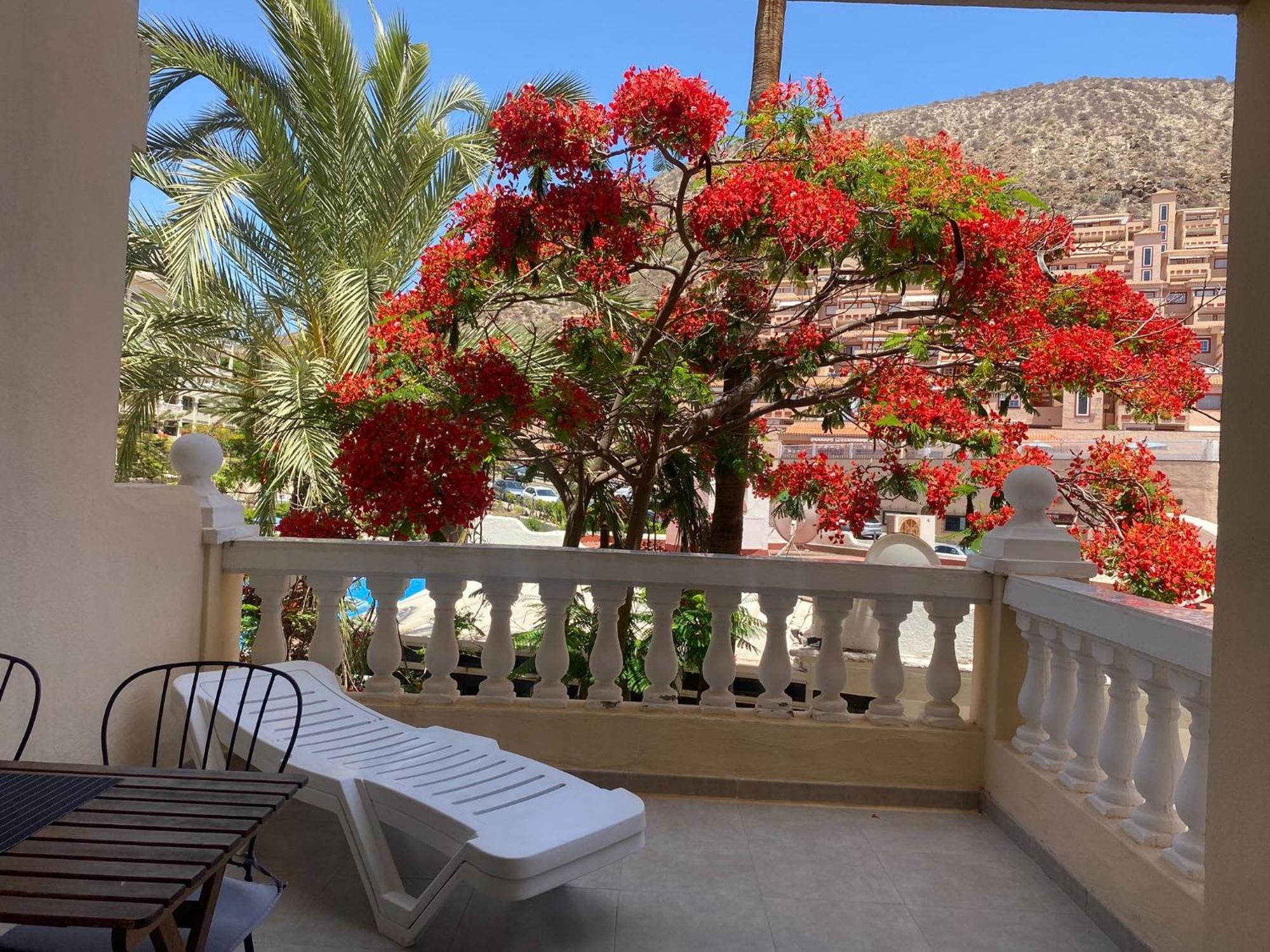 Castle Harbour Samuel'S Studio Flat By Lovetenerife لوس كريستيانوس المظهر الخارجي الصورة